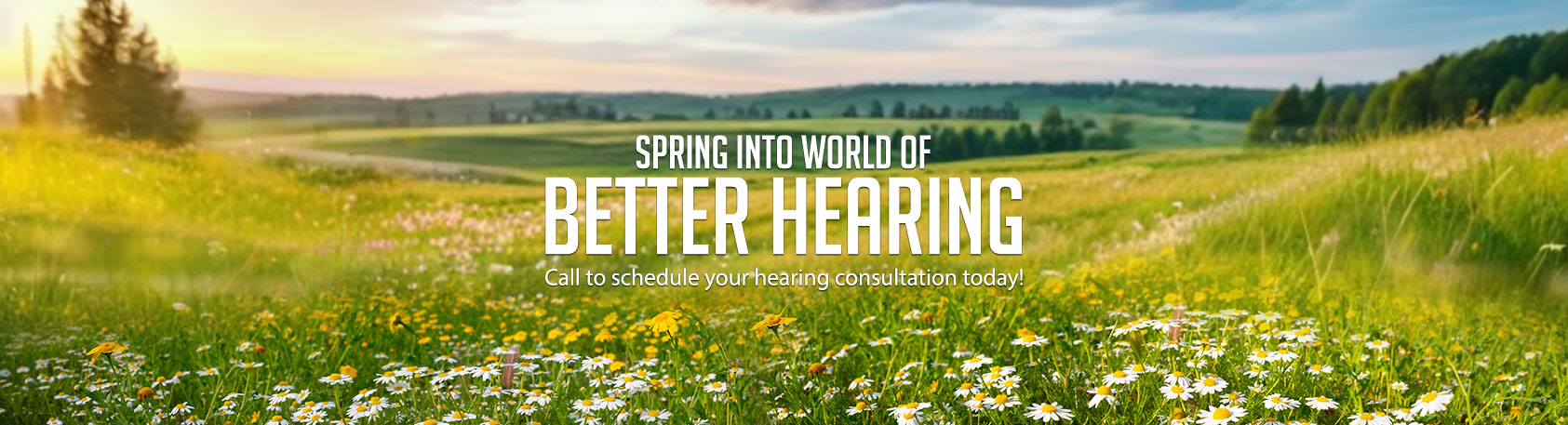Spring Banner